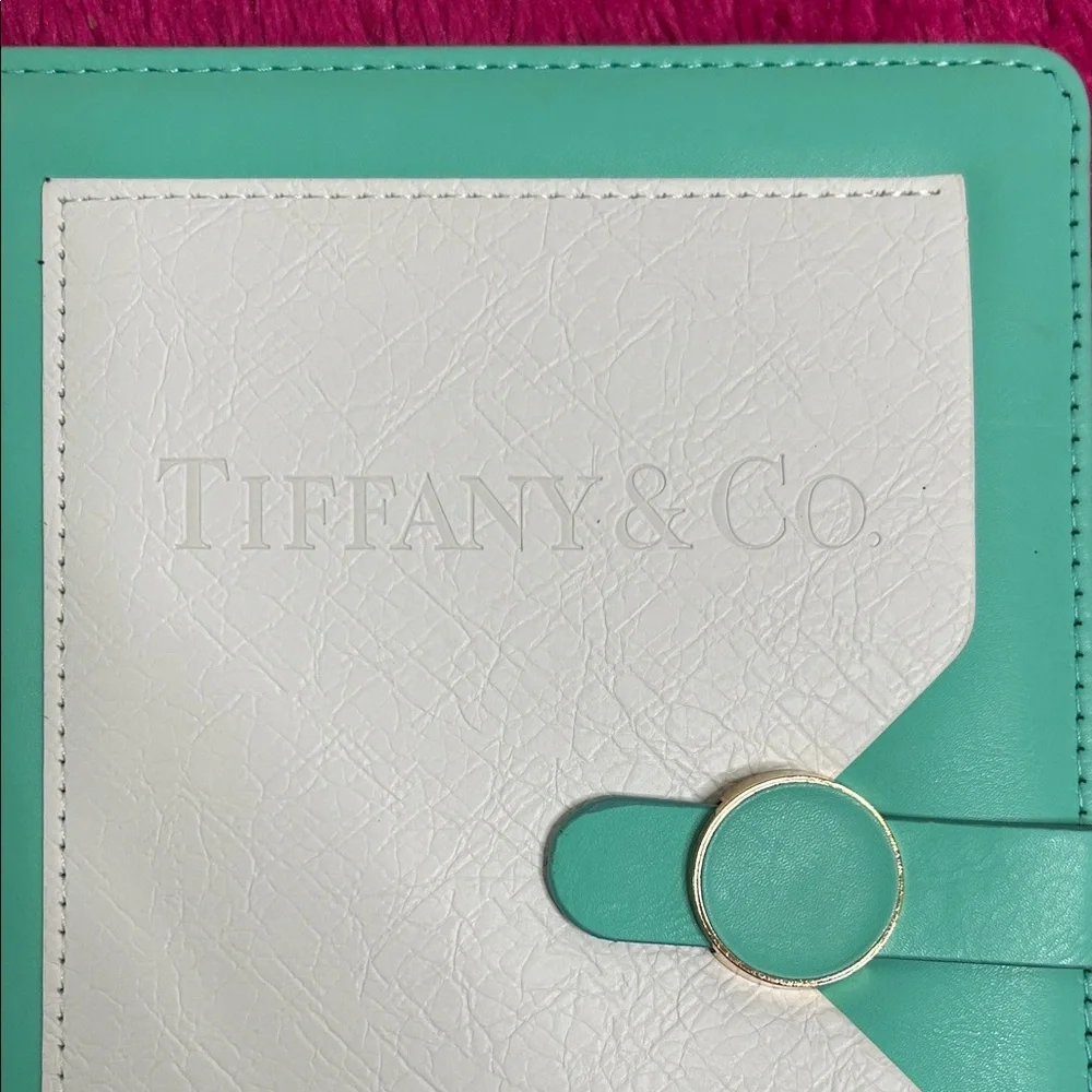 Tiffany & Co. Aqua and White Journal - Picture 6 of 6